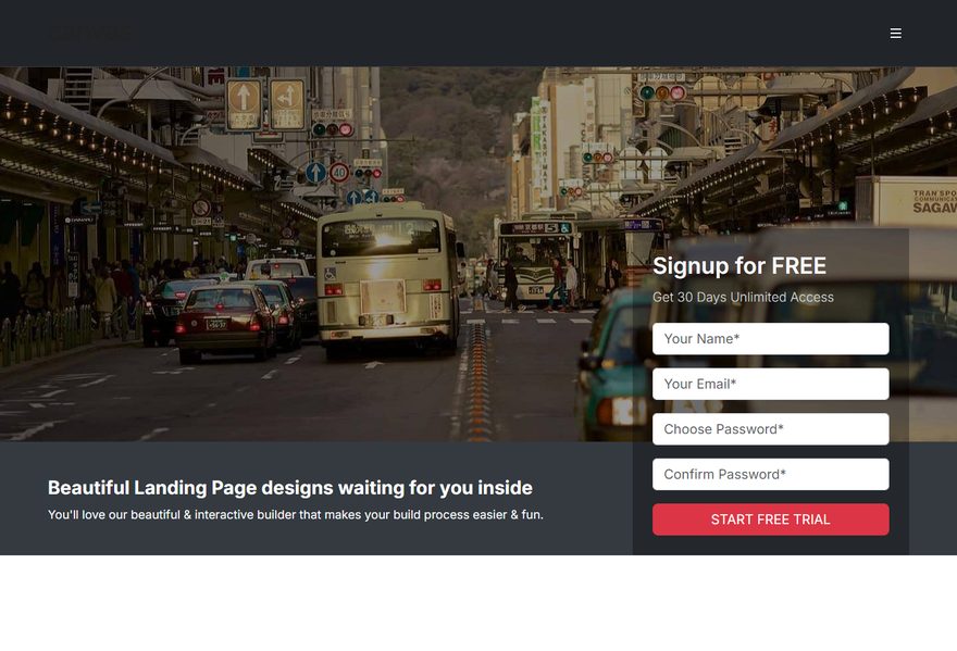 Landing 4 website example