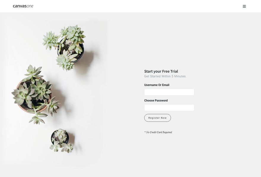 Register Form 2 website example